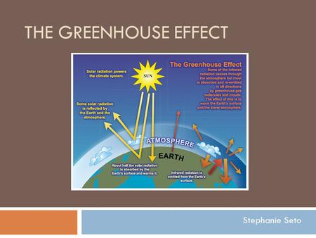 THE GREENHOUSE EFFECT Stephanie Seto. The Carbon Cycle.