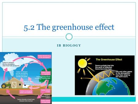 IB BIOLOGY 5.2 The greenhouse effect. The Carbon Cycle Carbon exists in many forms:  Atmospheric gases (CO2 and Methane- CH4)  Dissolved CO2 in aquatic.