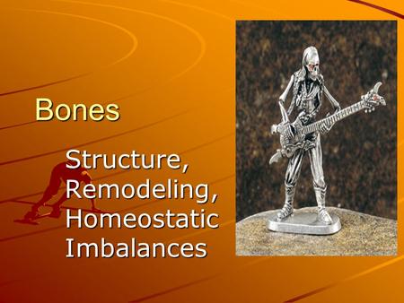 Bones Structure, Remodeling, Homeostatic Imbalances.