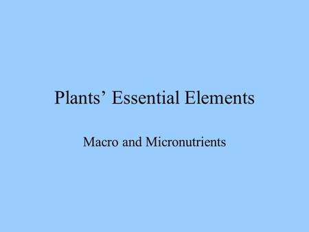 Plants’ Essential Elements