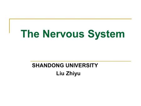 The Nervous System SHANDONG UNIVERSITY Liu Zhiyu.