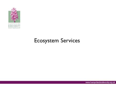 Www.hampshirebiodiversity.org.uk Ecosystem Services.