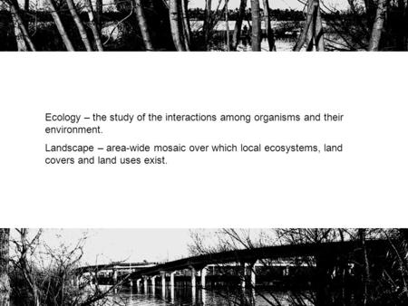 Ecology – the study of the interactions among organisms and their environment. Landscape – area-wide mosaic over which local ecosystems, land covers and.