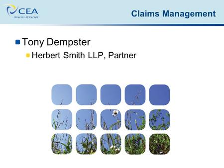 Tony Dempster Herbert Smith LLP, Partner Claims Management.
