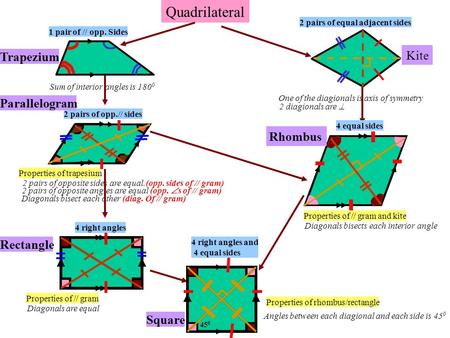 Quadrilateral 1 pair of // opp. Sides One of the diagionals is axis of symmetry 2 diagionals are  2 pairs of equal adjacent sides Sum of interior angles.