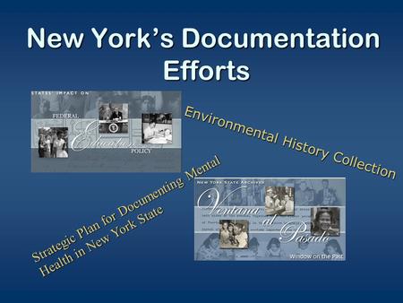 New York’s Documentation Efforts Strategic Plan for Documenting Mental Health in New York State Environmental History Collection.