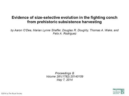 Evidence of size-selective evolution in the fighting conch from prehistoric subsistence harvesting by Aaron O'Dea, Marian Lynne Shaffer, Douglas R. Doughty,