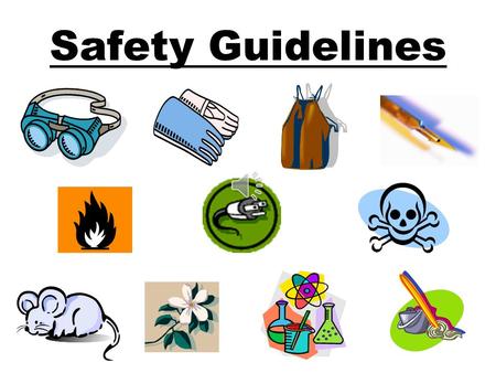 Safety Guidelines General Information Always get your TEACHER’S permission before beginning a Lab. Read the Lab before starting Look up unknown safety.