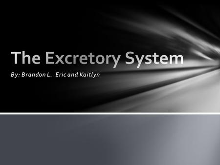 By: Brandon L. Eric and Kaitlyn. Title- The Excretory System Slide 1: How Can You Maintain A Healthy Excretory System Slide 2: What Are Two Professions.