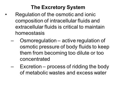 The Excretory System Regulation of the osmotic and ionic composition of intracellular fluids and extracellular fluids is critical to maintain homeostasis.