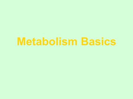 Metabolism Basics Title - metabolism basics.