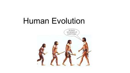 Human Evolution GO BACK. WE MESSED UP EVERYTHING!.