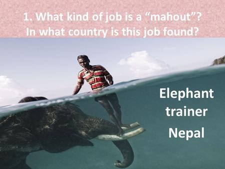 1. What kind of job is a “mahout”? In what country is this job found?
