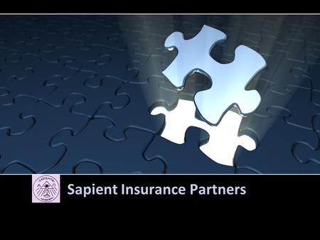Sapient Insurance Partners. Overview & Services We have almost four decades of combined experience in the property & casualty insurance and reinsurance.