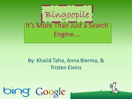 Bingoopile It’s More Than Just a Search Engine…. By: Khalid Taha, Anna Bierma, & Tristen Eivins.
