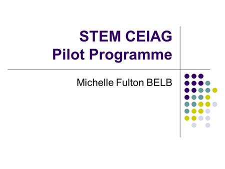 STEM CEIAG Pilot Programme Michelle Fulton BELB. STEM CEIAG Joint ELB Action Plan DE (£340K) approved plan to: address ELB Resource Allocation Plan Targets.