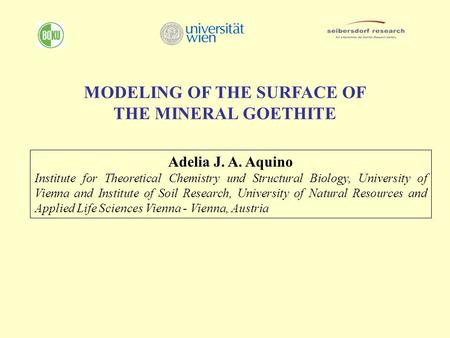Adelia J. A. Aquino Institute for Theoretical Chemistry und Structural Biology, University of Vienna and Institute of Soil Research, University of Natural.