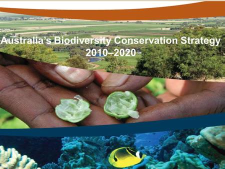 Australia’s Biodiversity Conservation Strategy 2010–2020.