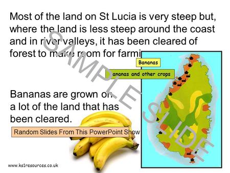Www.ks1resources.co.uk Most of the land on St Lucia is very steep but, where the land is less steep around the coast and in river valleys, it has been.