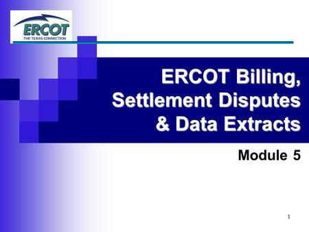 ERCOT Billing, Settlement Disputes & Data Extracts