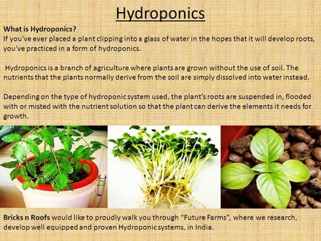 Hydroponics What is Hydroponics?