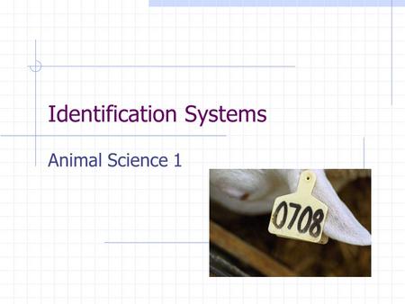 Identification Systems Animal Science 1. Competency 11.0 Differentiate identification systems used in the animal industry.