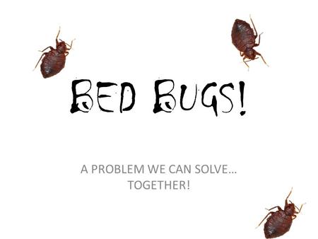 A PROBLEM WE CAN SOLVE… TOGETHER!