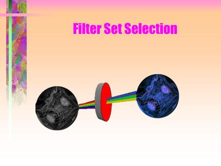 Filter Set Selection. It is best to follow this presentation with a Fluorophore excitation/emission maxima chart to hand.