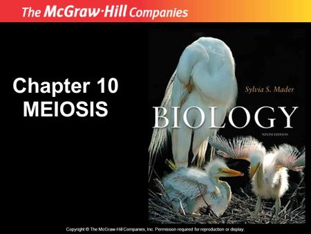 Copyright © The McGraw-Hill Companies, Inc. Permission required for reproduction or display. Chapter 10 MEIOSIS.