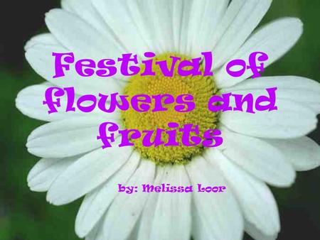 Festival of flowers and fruits by: Melissa Loor * This festival is celebrated the same day of the carnival in Ambato, a city in Ecuador.
