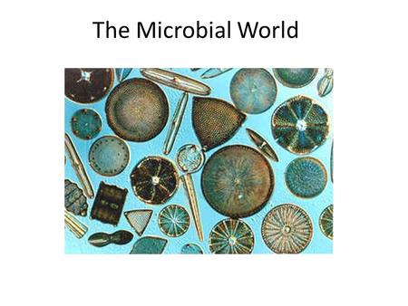 The Microbial World.