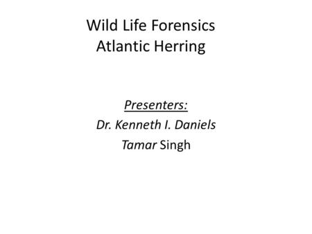 Wild Life Forensics Atlantic Herring Presenters: Dr. Kenneth I. Daniels Tamar Singh.