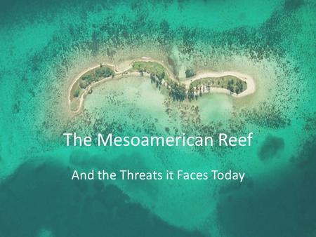 The Mesoamerican Reef And the Threats it Faces Today.