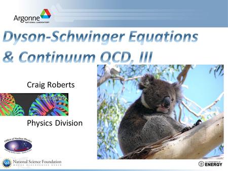 Craig Roberts Physics Division. Dyson-Schwinger Equations  Well suited to Relativistic Quantum Field Theory  Simplest level: Generating Tool for Perturbation.