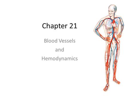 Chapter 21 Blood Vessels and Hemodynamics. Basic components of the CV organ system The blood vessels of the body should not be thought of as mere “pipes”