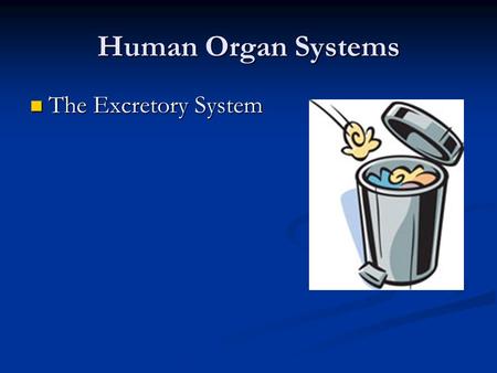 Human Organ Systems The Excretory System The Excretory System.