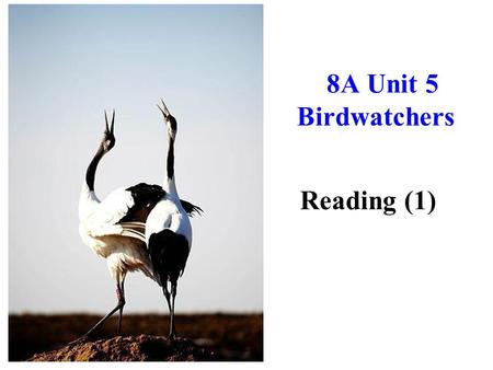 8A Unit 5 Birdwatchers Reading (1) 【学习目标】 1. 读懂本文，了解扎龙自然保护区的基本情况。 2. 培养阅读能力，能通过阅读获取有用信息。 3. 能认识到保护野生动物的重要性，从而在日 常生活中关注动物。 【学习重点、难点】 通过阅读，获取足够信息，理解文章内容，