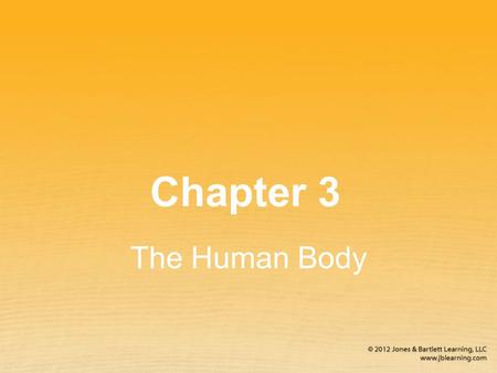 Chapter 3 The Human Body.