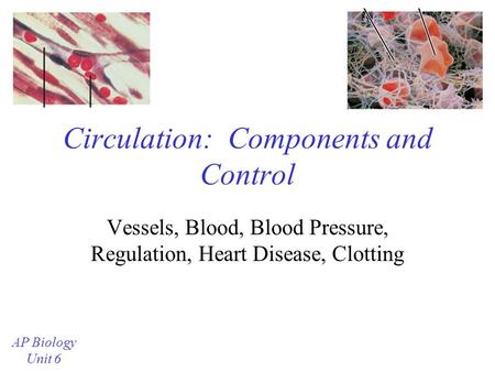 Circulation: Components and Control Vessels, Blood, Blood Pressure, Regulation, Heart Disease, Clotting AP Biology Unit 6.