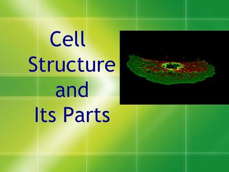 Cell Structure and Its Parts