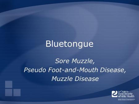 Bluetongue Sore Muzzle, Pseudo Foot-and-Mouth Disease, Muzzle Disease.