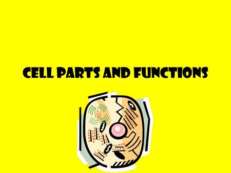 Cell Parts and Functions 1590- invention of the microscope made it possible to look at very small objects (Janssen) 1663- Robert Hooke observed cells.