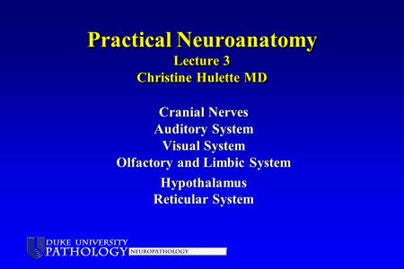 Practical Neuroanatomy Lecture 3 Christine Hulette MD Cranial Nerves Auditory System Visual System Olfactory and Limbic System Hypothalamus Reticular System.