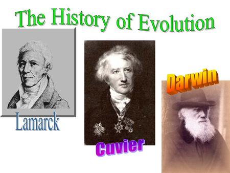The History of Evolution