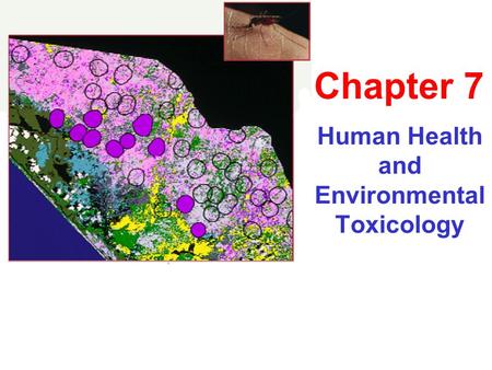 Human Health and Environmental Toxicology Chapter 7.