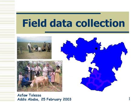 Field data collection Asfaw Tolessa Addis Ababa, 25 February 2003 1.