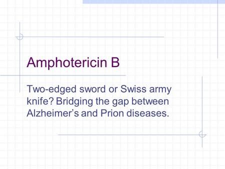 Amphotericin B Two-edged sword or Swiss army knife? Bridging the gap between Alzheimer’s and Prion diseases.