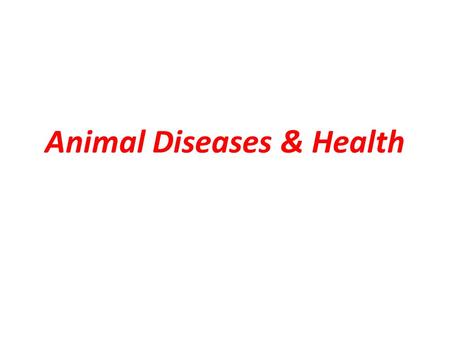 Animal Diseases & Health. Disease: not be at ease, uncomfortable due to a variety of causes such as – nutritional defects, virus, bacteria, protozoa,