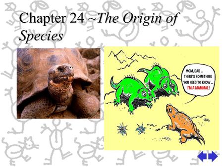 Chapter 24 ~The Origin of Species