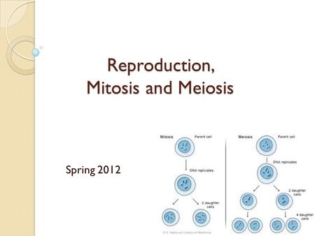 Reproduction, Mitosis and Meiosis